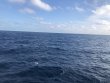 Friday December 18th 2020 Tropical Odyssey: USCGC Duane reef report photo 1