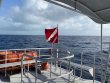 Friday February 19th 2021 Tropical Odyssey: USCGC Duane reef report photo 1