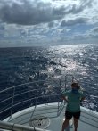 Saturday March 13th 2021 Tropical Odyssey: Spiegel Grove reef report photo 1