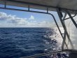 Tuesday March 16th 2021 Tropical Odyssey: Spiegel Grove reef report photo 1