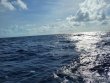 Friday June 25th 2021 Tropical Odyssey: USCGC Duane reef report photo 1
