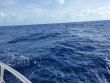 Friday June 25th 2021 Tropical Odyssey: USCGC Duane reef report photo 2