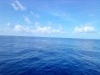 Wednesday September 8th 2021 Tropical Odyssey: USCGC Bibb reef report photo 2