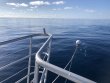 Thursday December 9th 2021 Tropical Odyssey: Spiegel Grove reef report photo 1