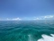Saturday June 18th 2022 Tropical Odyssey: Molasses Reef reef report photo 1