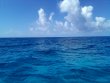 Wednesday July 6th 2022 Tropical Odyssey: USCGC Bibb reef report photo 1