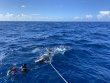 Wednesday July 20th 2022 Tropical Odyssey: USCGC Bibb reef report photo 1