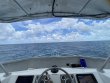 Sunday August 28th 2022 Tropical Odyssey: Eagle Ray Alley reef report photo 1