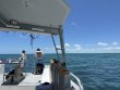Sunday June 4th 2023 Tropical Odyssey: The Horseshoe reef report photo 1
