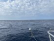 Friday June 16th 2023 Tropical Odyssey: Spiegel Grove reef report photo 1