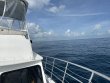 Sunday June 25th 2023 Tropical Odyssey: Spiegel Grove reef report photo 1