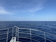 Friday July 14th 2023 Tropical Odyssey: USCGC Duane reef report photo 1