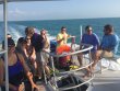 Saturday April 2nd 2016 Tropical Odyssey: Fire Coral Cave reef report photo 1
