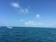 Monday May 16th 2016 Tropical Odyssey: Benwood Wreck reef report photo 1