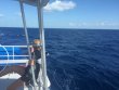 Wednesday May 25th 2016 Tropical Odyssey: Spiegel Grove reef report photo 1