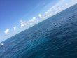 Monday May 30th 2016 Tropical Odyssey: North Star reef report photo 1