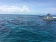 Monday June 27th 2016 Tropical Odyssey: Christ Statue reef report photo 2
