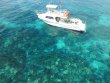 Wednesday July 13th 2016 Tropical Odyssey: Molasses Deep reef report photo 2