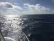 Wednesday July 20th 2016 Tropical Odyssey: USCGC Duane reef report photo 1