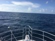 Monday July 25th 2016 Tropical Odyssey: USCGC Duane reef report photo 1