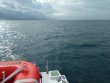 Saturday December 10th 2016 Tropical Odyssey: Spiegel Grove reef report photo 1