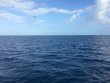 Wednesday December 14th 2016 Tropical Odyssey: USCGC Duane reef report photo 1