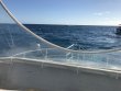 Wednesday December 28th 2016 Tropical Odyssey: Spiegel Grove reef report photo 1