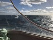 Saturday December 31st 2016 Tropical Odyssey: Spiegel Grove reef report photo 1