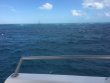 Friday January 13th 2017 Tropical Odyssey: USCGC Duane reef report photo 1