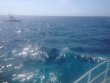 Saturday June 14th 2014 Tropical Odyssey: Molasses Deep reef report photo 2