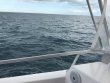 Wednesday February 1st 2017 Tropical Odyssey: USCGC Duane reef report photo 1
