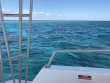 Monday February 20th 2017 Tropical Odyssey: North Star reef report photo 1