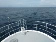 Saturday June 3rd 2017 Tropical Odyssey: Spiegel Grove reef report photo 1