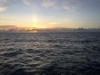 Saturday June 24th 2017 Tropical Odyssey: Benwood Wreck reef report photo 1