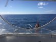 Wednesday August 30th 2017 Tropical Odyssey: USCGC Bibb reef report photo 1