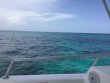 Sunday September 3rd 2017 Tropical Odyssey: The Horseshoe reef report photo 1