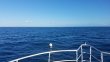 Wednesday November 22nd 2017 Tropical Odyssey: USCGC Bibb reef report photo 1