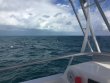 Tuesday November 28th 2017 Tropical Odyssey: Benwood Wreck reef report photo 1