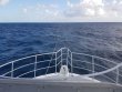Thursday November 30th 2017 Tropical Odyssey: Spiegel Grove reef report photo 1