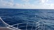 Saturday February 3rd 2018 Tropical Odyssey: Spiegel Grove reef report photo 1