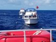 Wednesday February 28th 2018 Tropical Odyssey: Spiegel Grove reef report photo 1