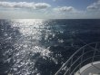 Friday March 30th 2018 Tropical Odyssey: USCGC Duane reef report photo 1