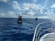 Tuesday May 8th 2018 Tropical Odyssey: Spiegel Grove reef report photo 1