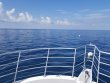 Saturday June 23rd 2018 Tropical Odyssey: Spiegel Grove reef report photo 1