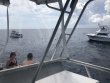 Tuesday July 3rd 2018 Tropical Odyssey: Spiegel Grove reef report photo 1