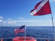 Wednesday July 4th 2018 Tropical Odyssey: USCGC Bibb reef report photo 1