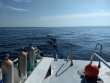 Monday August 27th 2018 Tropical Odyssey: USCGC Duane reef report photo 1