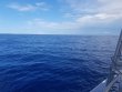 Friday September 7th 2018 Tropical Odyssey: USCGC Duane reef report photo 1