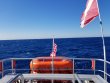 Wednesday March 6th 2019 Tropical Odyssey: USCGC Duane reef report photo 1