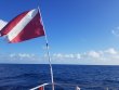 Monday March 11th 2019 Tropical Odyssey: USCGC Duane reef report photo 1